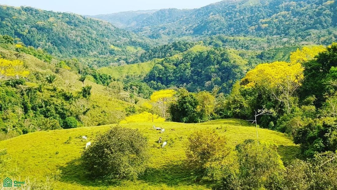 Terreno en Carara, San José, Costa Rica 2 - 17811345