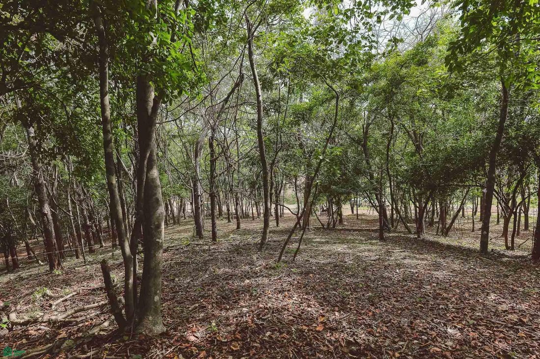 Land in Cuajiniquil, Santa Cruz, Costa Rica 2 - 18183023