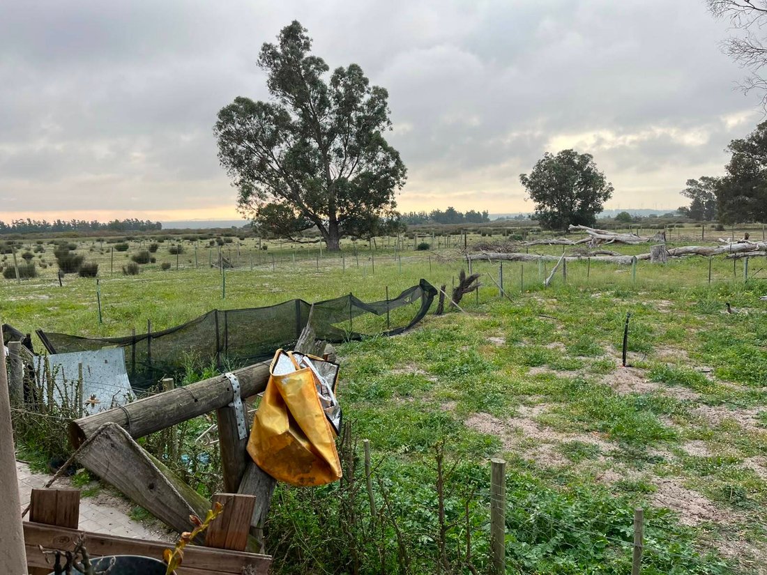 Farm Ranch in Hopefield, Western Cape, South Africa 5 - 18675275