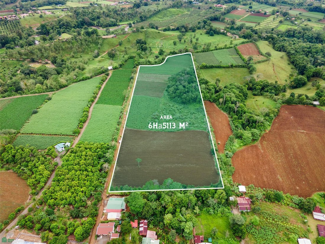 Land in Fortuna, San Ramón, Costa Rica 4 - 18584284