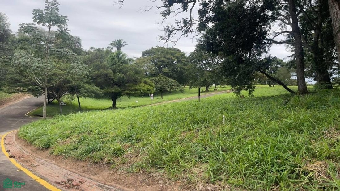 Land in Colinas del Urubó, Santa Cruz Department, Bolivia 4 - 18379650