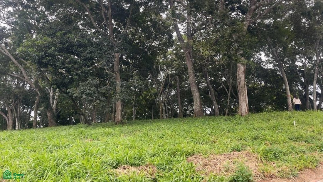 Land in Colinas del Urubó, Santa Cruz Department, Bolivia 3 - 18379650