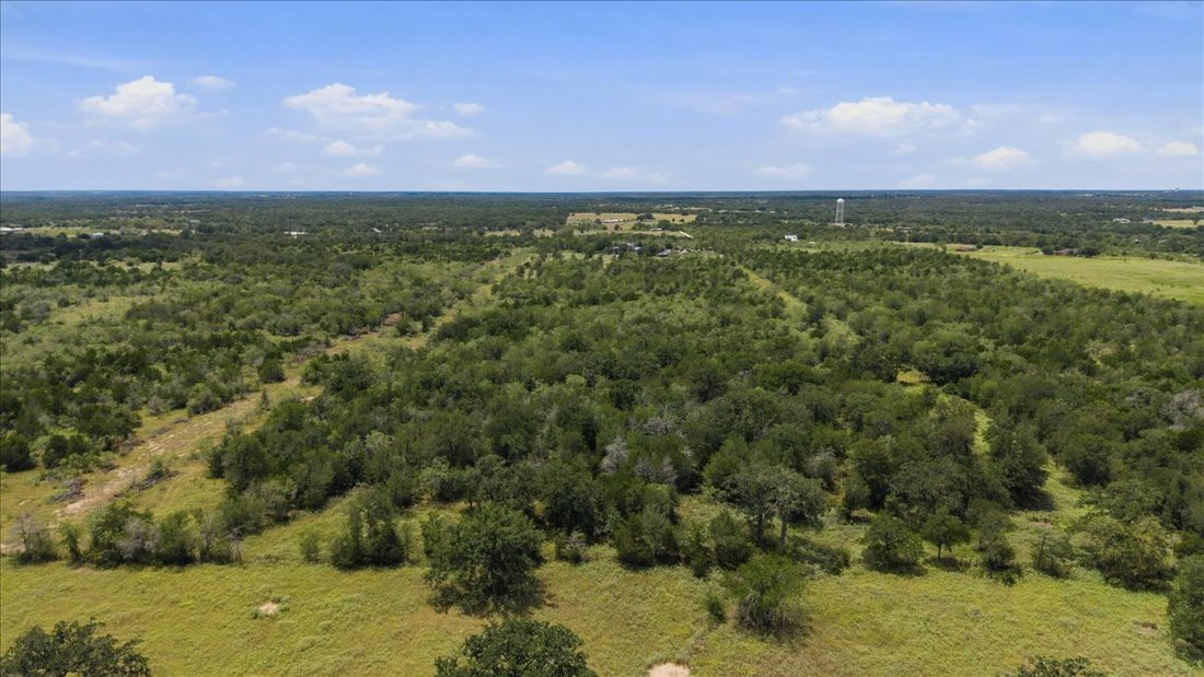 Farm Ranch in Cedar Creek, Texas, United States 5 - 18678668