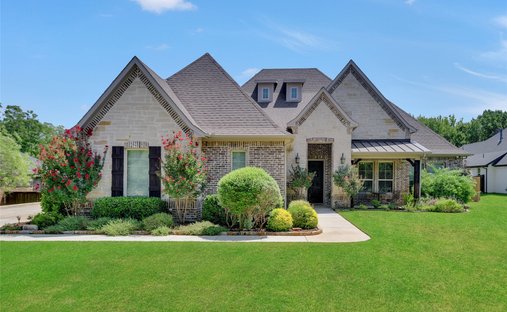 House in Arlington, Texas, United States 1