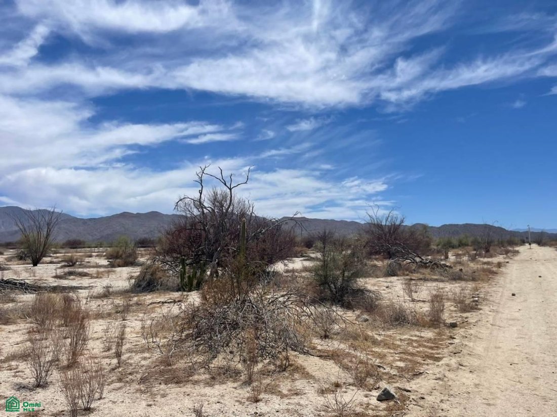 Land in Mexicali, Baja California, Mexiko 4 - 18645641