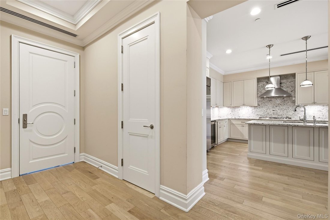 Condo in Manhasset, New York, United States 3 - 18553047