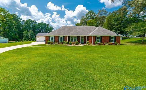 House in Harvest, Alabama, United States 1
