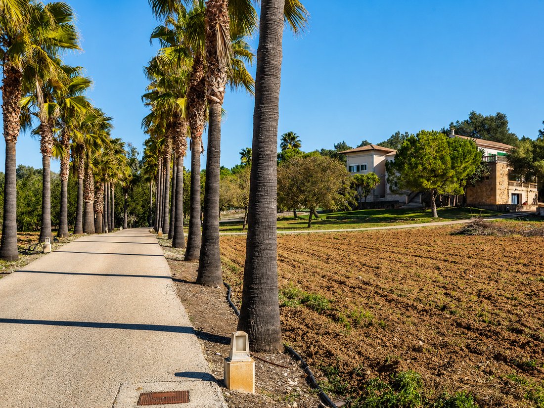 Finca in Algaida, Balearic Islands, Spain 2 - 18678695