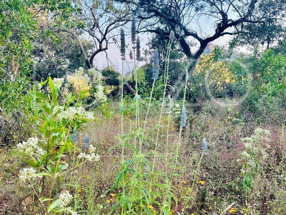 Land in Tepoztlán, Morelos, Mexico 4 - 18675185