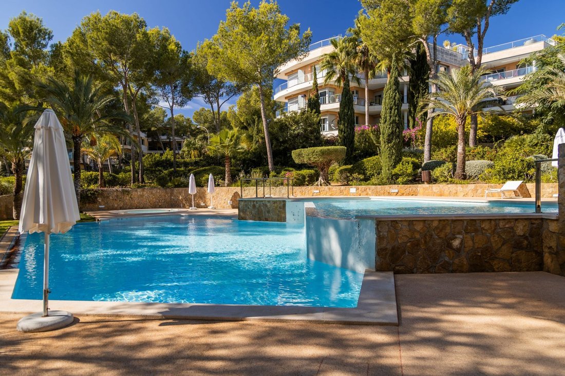 Apartment in Sol de Mallorca, Calvia, Balearic Islands 2 - 18677014