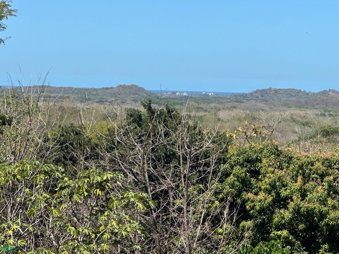 Terreno en Pinilla, Provincia de Guanacaste, Costa Rica 2 - 17814241