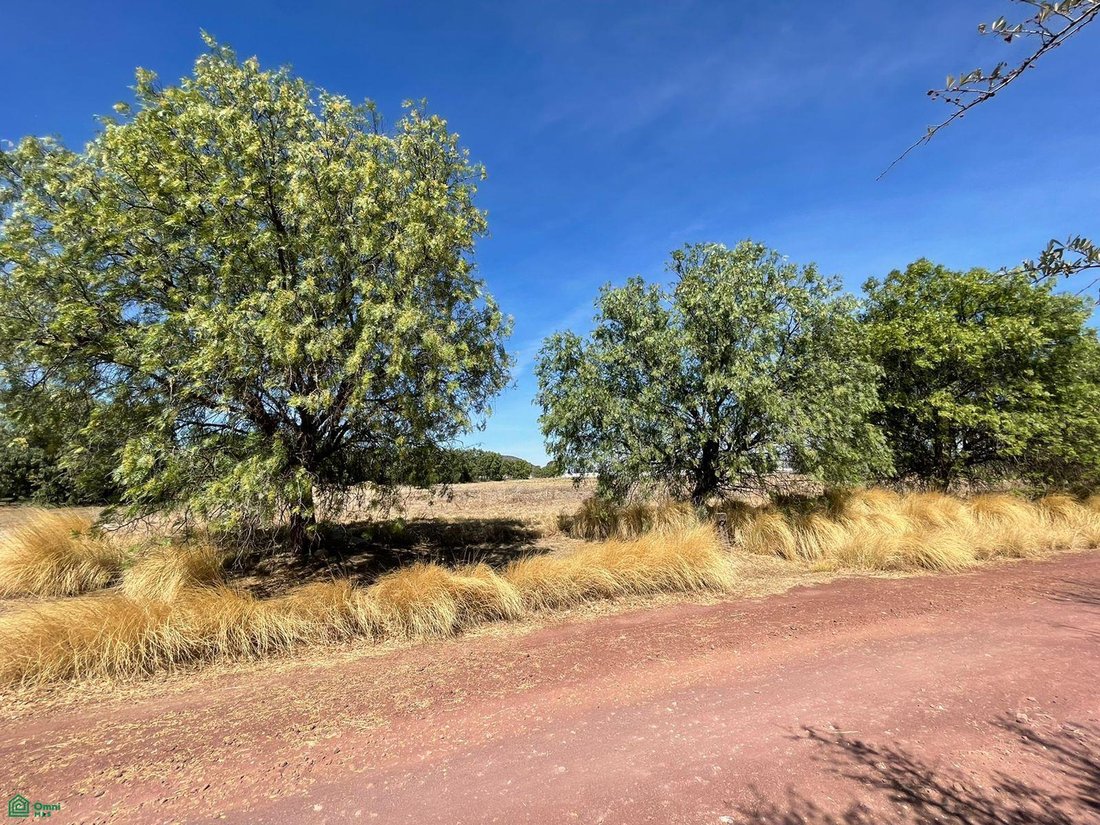Land in Puente del Carmen, Guanajuato, Mexico 1 - 18505553