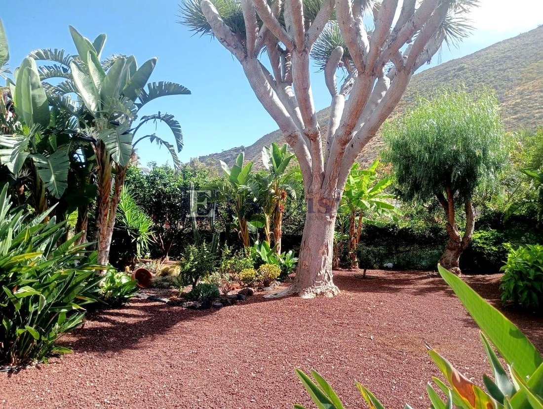 Villa in La Orotava, Canary Islands, Spain 4 - 18674600