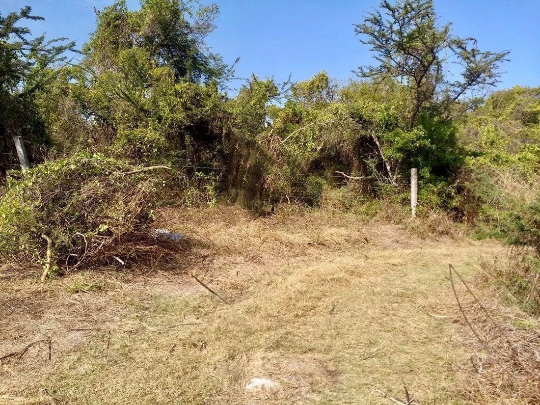 Land in Cuauchichinola, Morelos, Mexico 2 - 18675190