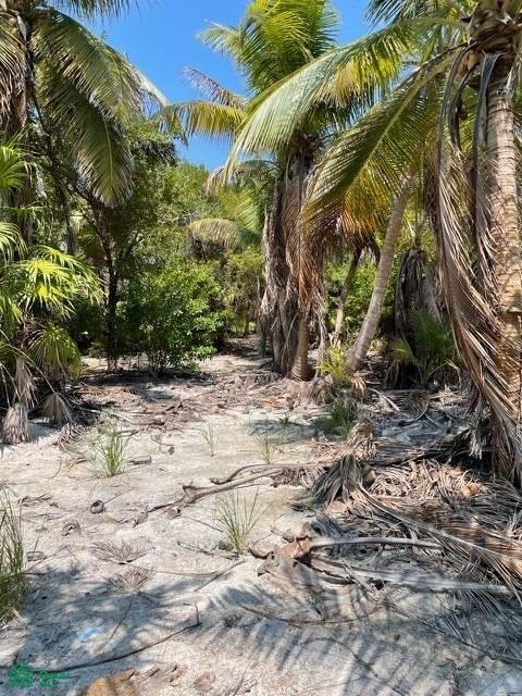Terrain en San Pedro, Bélize, Belize 2 - 18001678