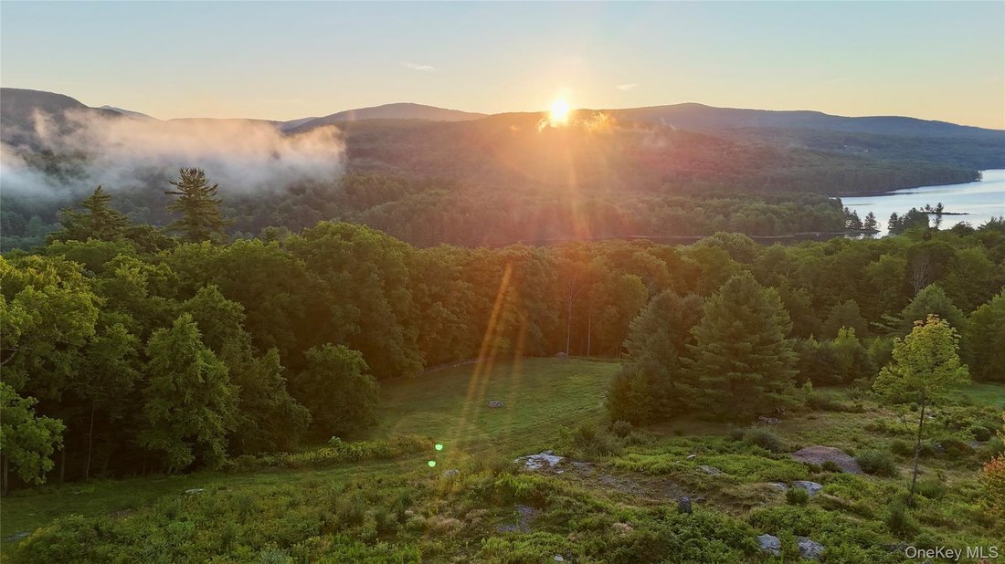 Land in Neversink, New York, Vereinigte Staaten 4 - 16754521