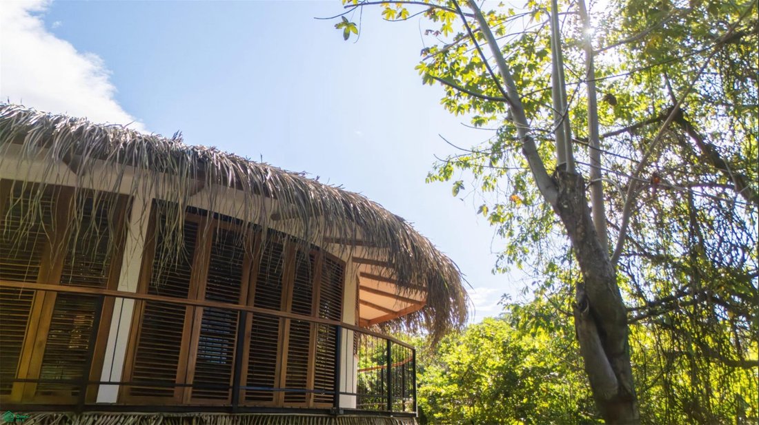 House in Nosara, Nicoya, Costa Rica 3 - 17908553