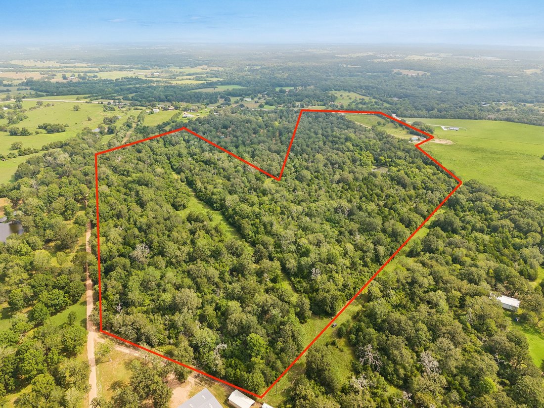 Bellville, Texas, United States 3 - 18615918