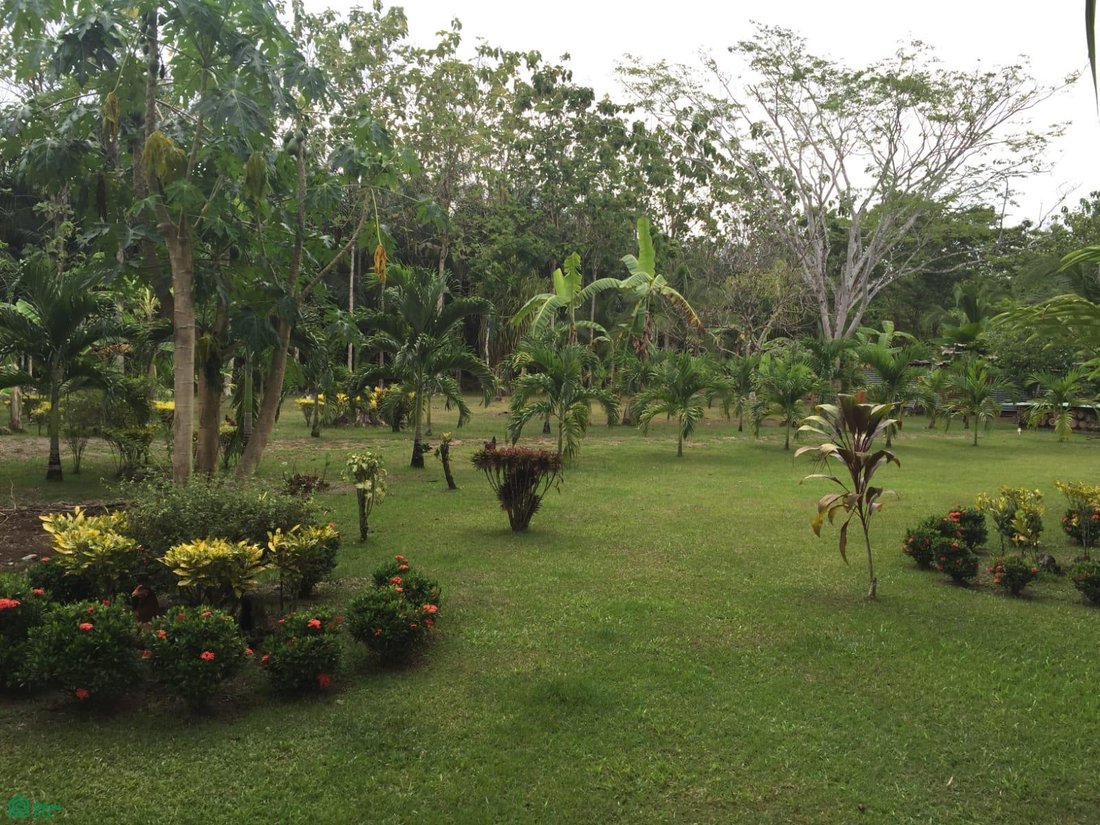 Land in Palma, Puntarenas Province, Costa Rica 1 - 17810210