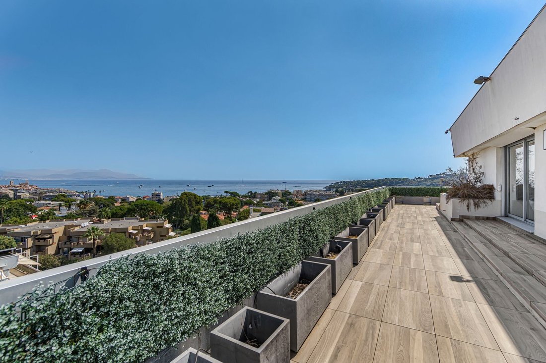 Apartment in Les Cougoulins-Rastines, Antibes, France 4 - 18678491
