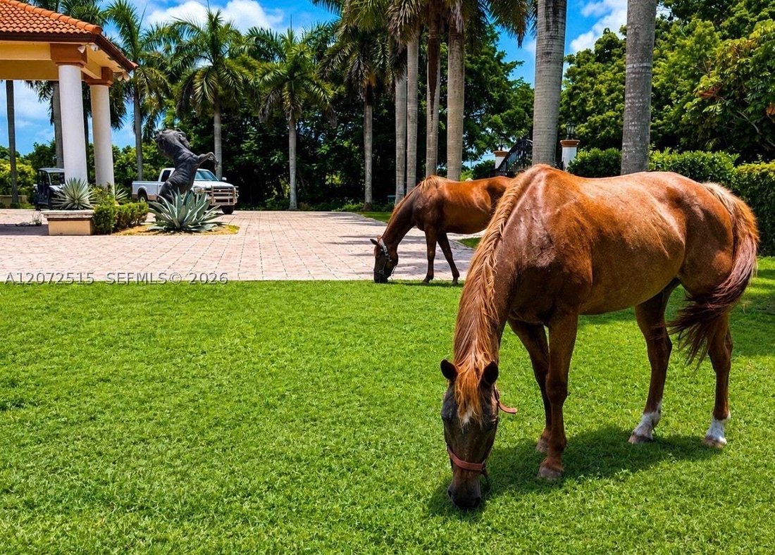 Casa en Miami, Florida, Estados Unidos 3 - 18676869
