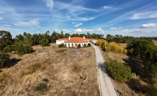 Estate in Sao Pedro de Tomar, Santarem District, Portugal 1