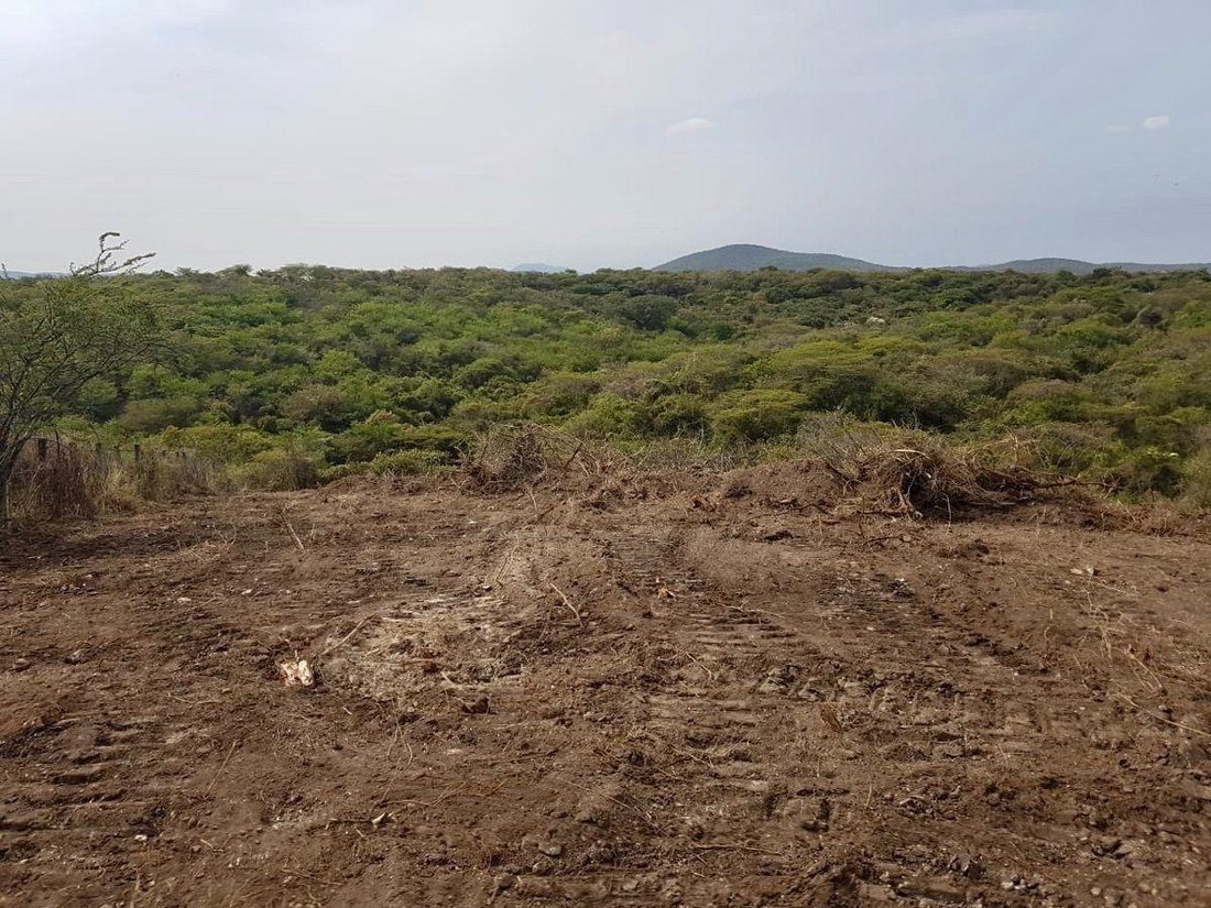 Land in Cuauchichinola, Morelos, Mexico 3 - 18675190
