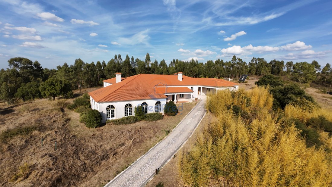 Estate in Sao Pedro de Tomar, Santarem District, Portugal 2 - 18677922