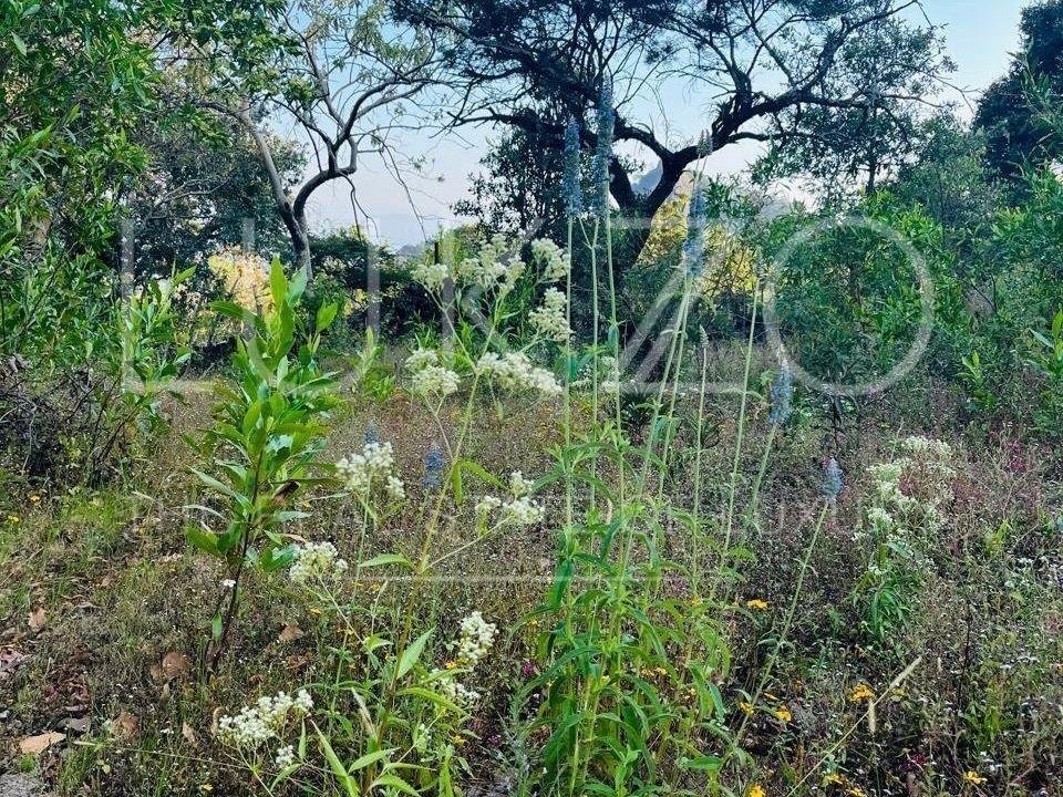 Land in Tepoztlán, Morelos, Mexico 5 - 18675185