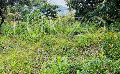 Land in Tepoztlán, Morelos, Mexico 1