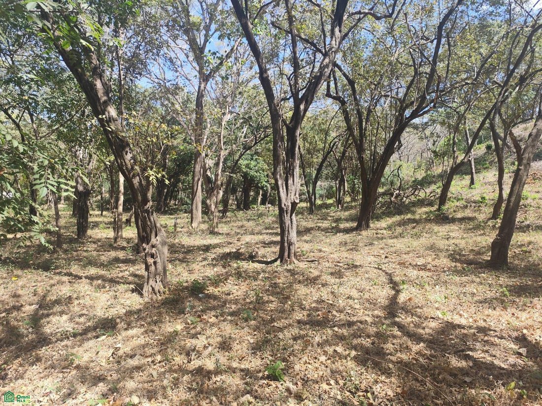 Terreno en Pinilla, Provincia de Guanacaste, Costa Rica 1 - 17814241
