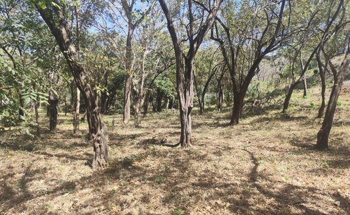 Land in Pinilla, Provinz Guanacaste, Costa Rica 1