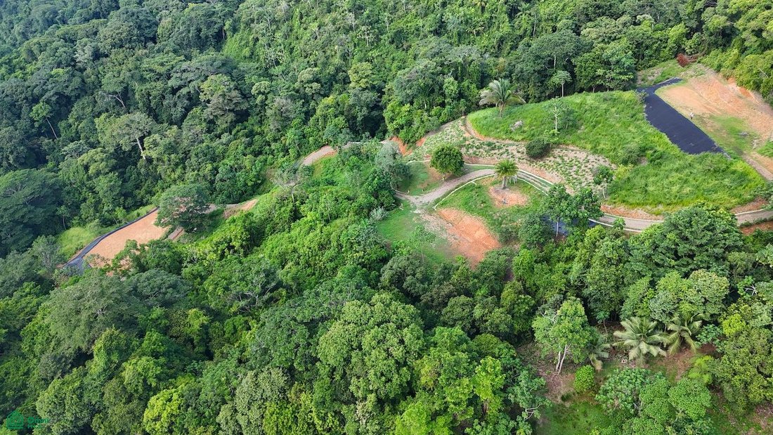 Land in Savegre de Aguirre, Puntarenas Province, Costa Rica 2 - 18584216
