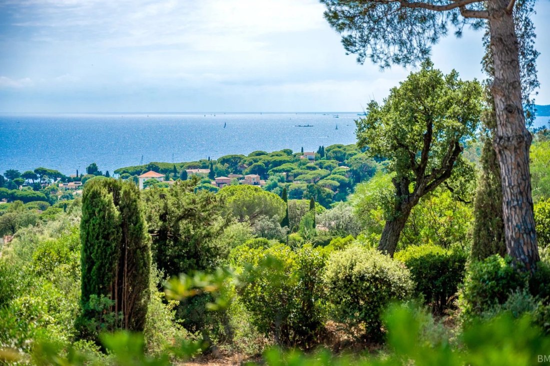 Villa in Les Issambres, Roquebrune-sur-Argens, France 5 - 18674950