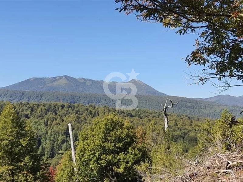 Land in Curacautín, Araucania, Chile 5 - 18674689