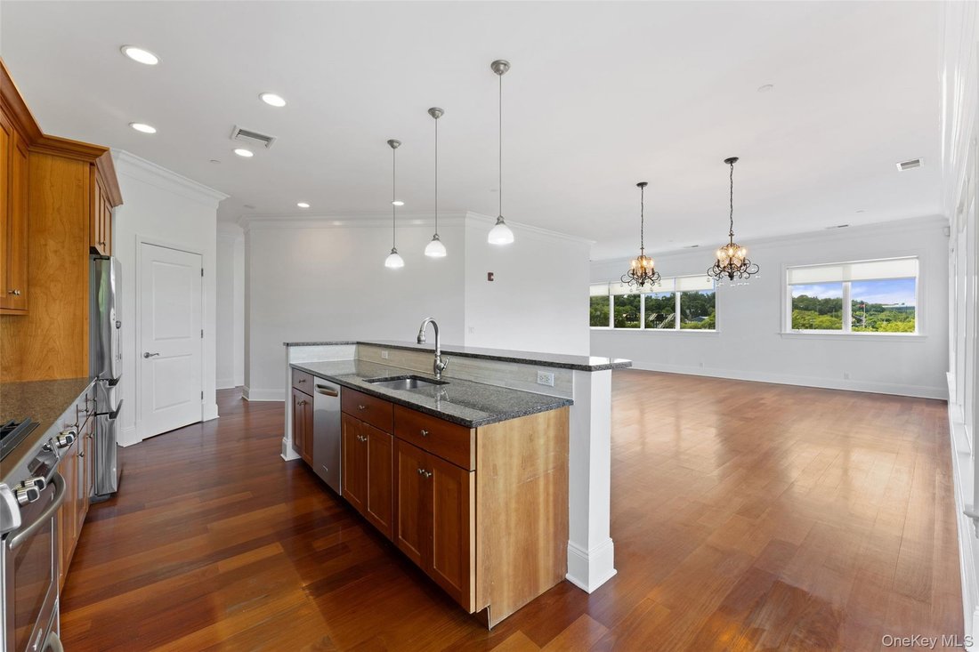 Condo in Tarrytown, New York, United States 5 - 18676583