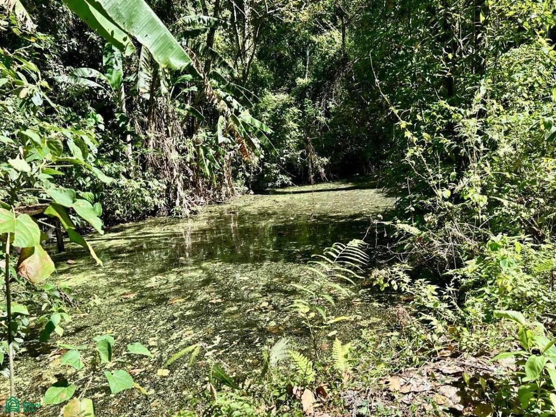 Terreno en San Sebastián del Oeste, Jalisco, México 2 - 17815137