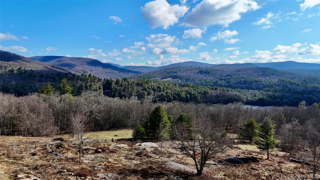 Land in Neversink, New York, Vereinigte Staaten 3 - 16754521