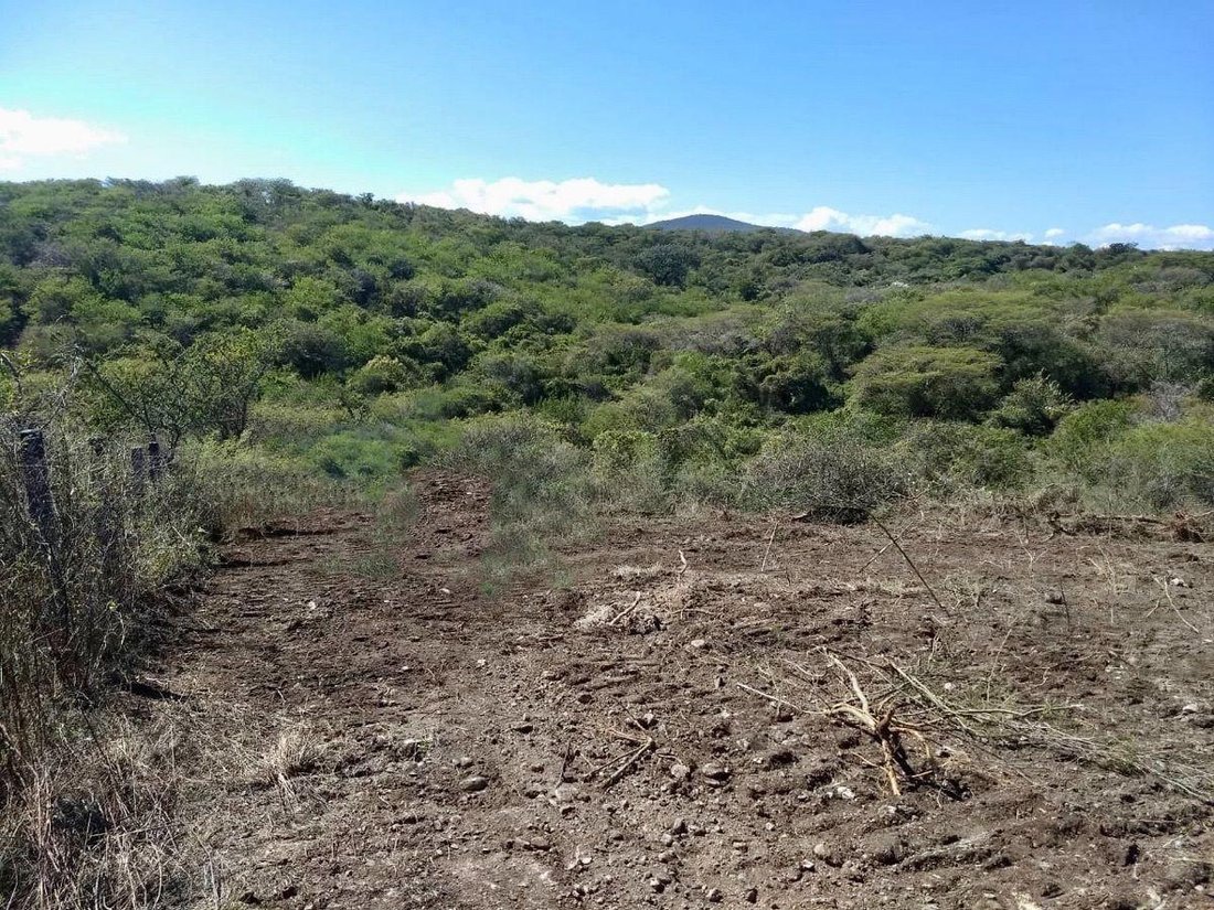 Land in Cuauchichinola, Morelos, Mexico 1 - 18675190