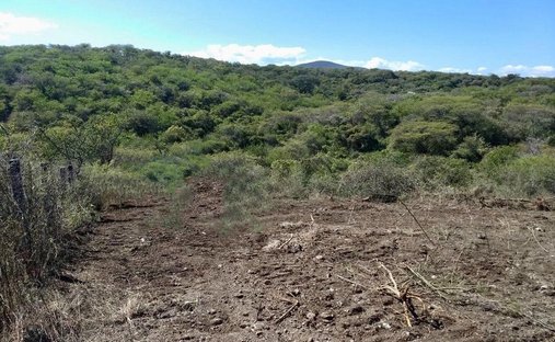 Terreno a Cuauchichinola, Morelos, Messico 1