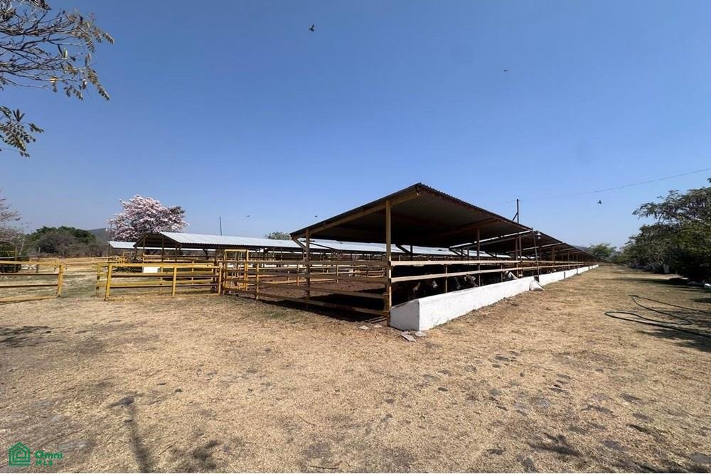 Casa en Rancho San Ignacio, Morelos, México 1 - 18023408