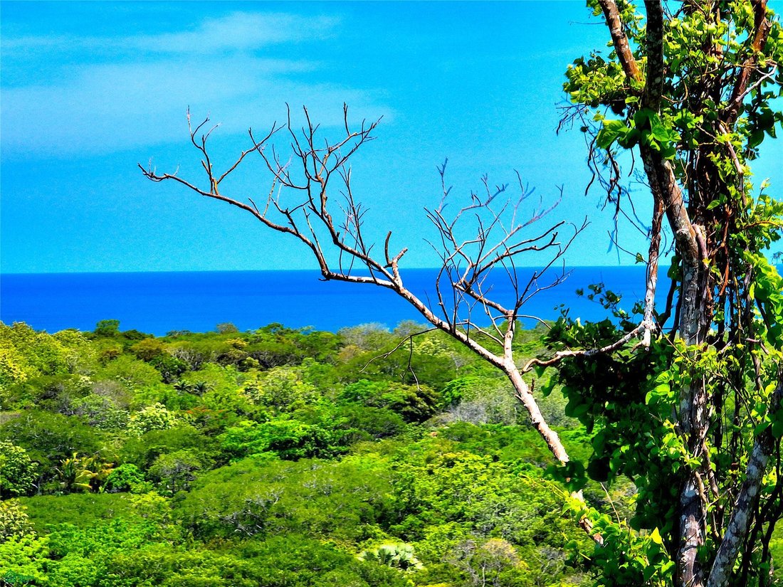 Land in Paraiso, Guanacaste Province, Costa Rica 4 - 18184261