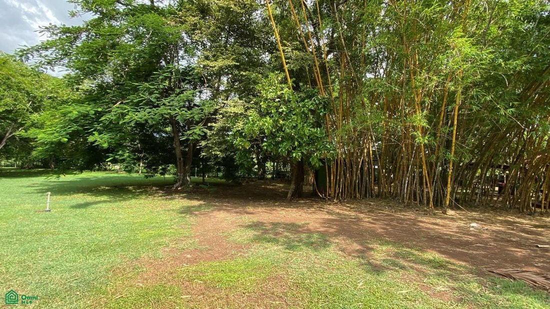 Land in Matapalo, Guanacaste Province, Costa Rica 5 - 18584237