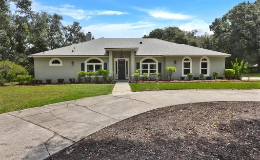 Casa en Apopka, Florida, Estados Unidos 1