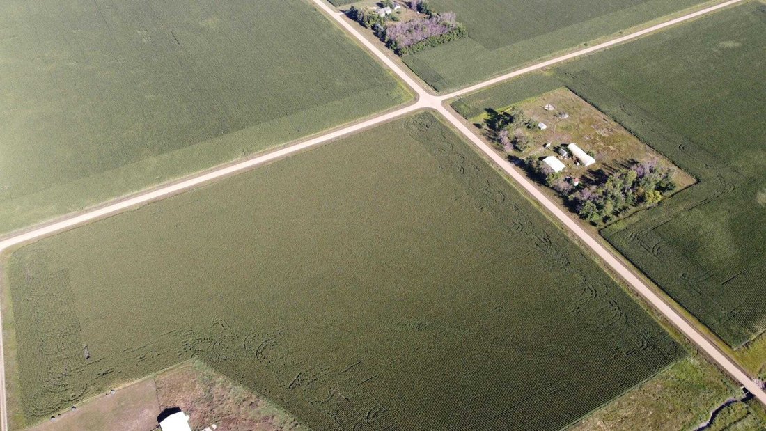 Terrain à Iona, Minnesota, États-Unis 5 - 18670387