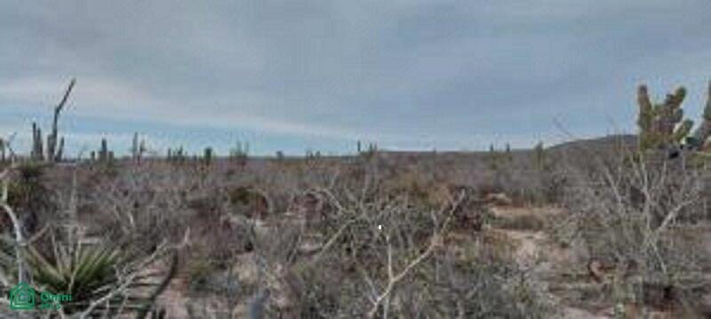 Land in Las Playitas, Baja California Sur, Mexico 4 - 17808242