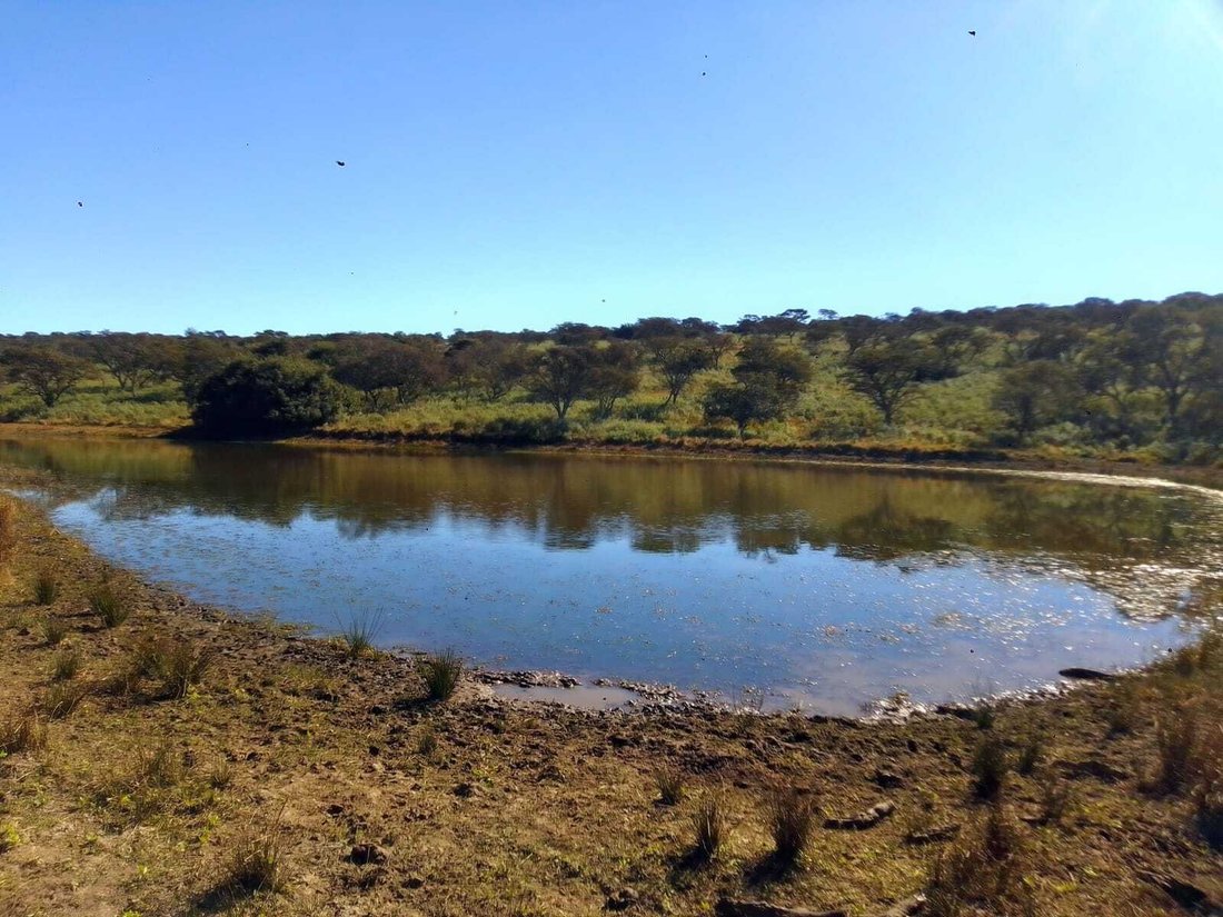 Farm Ranch in Amahlathi Local Municipality, Eastern Cape, South Africa 5 - 18675267