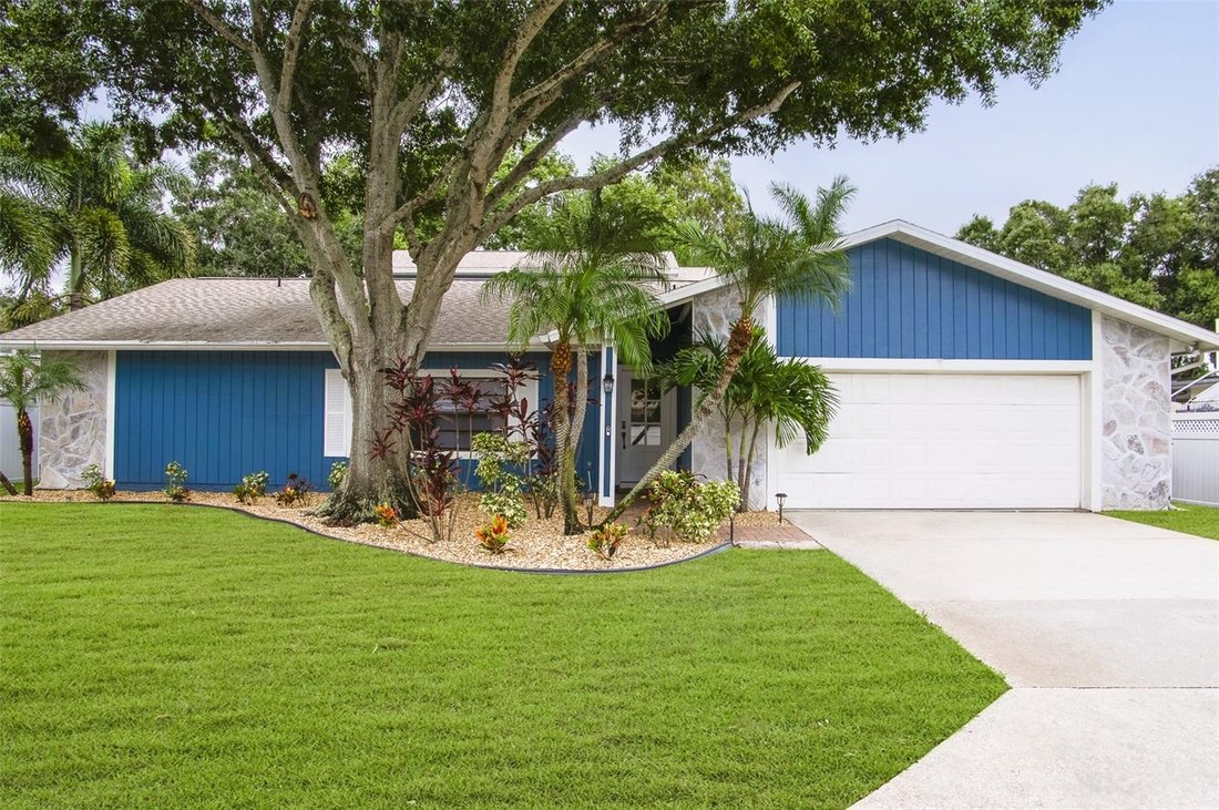 House in Seminole, Florida, United States 1 - 18675883