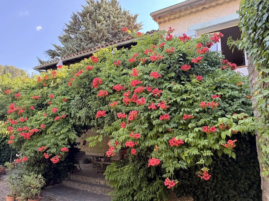 Casa en Cotignac, Provenza-Alpes-Costa Azul, Francia 2 - 18327864