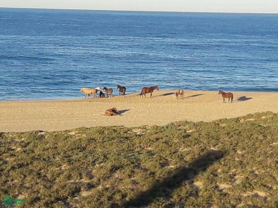 Land in Las Playitas, Baja California Sur, Mexico 1 - 17808242